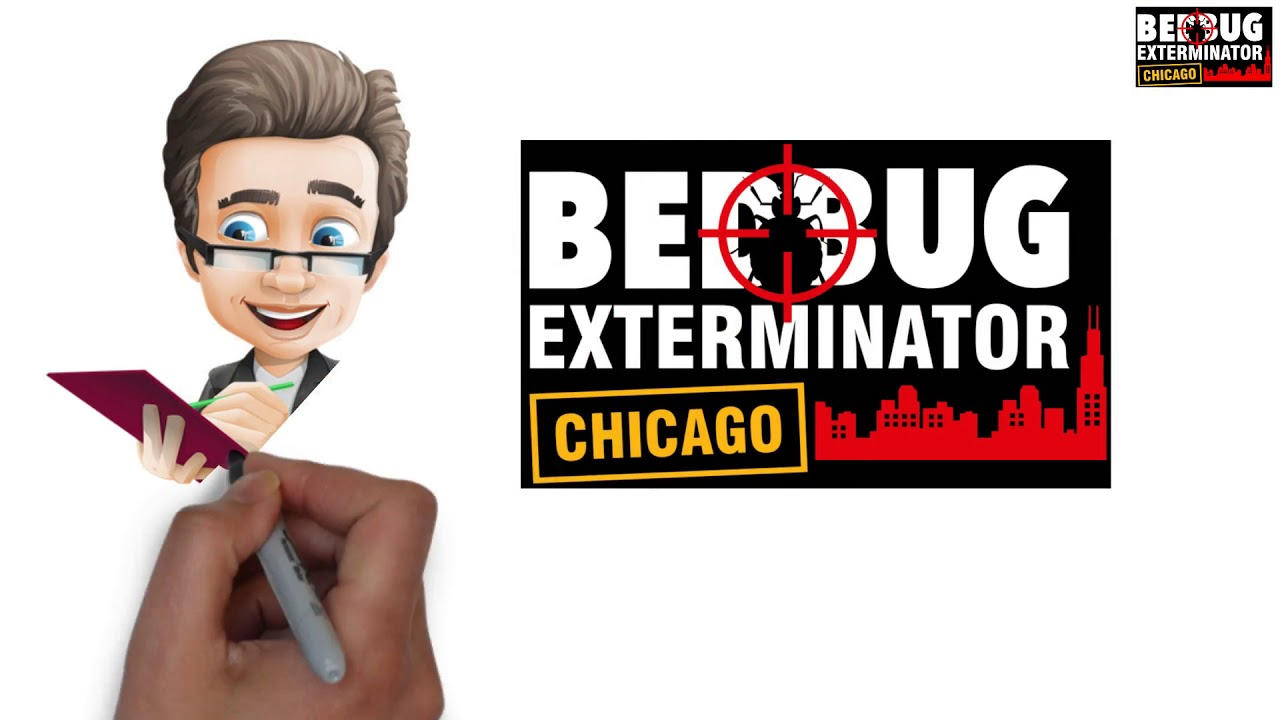 Bed Bug Exterminator Chicago: Your Premier Solution for Comprehensive Pest Control