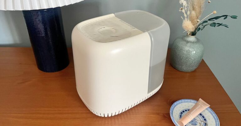 canopy humidifier review the everygirl social