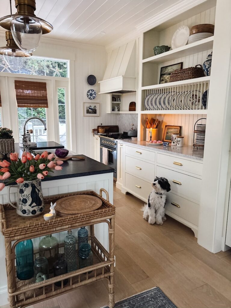 schnoodle puppy cozy cottage kitchen the inspired room